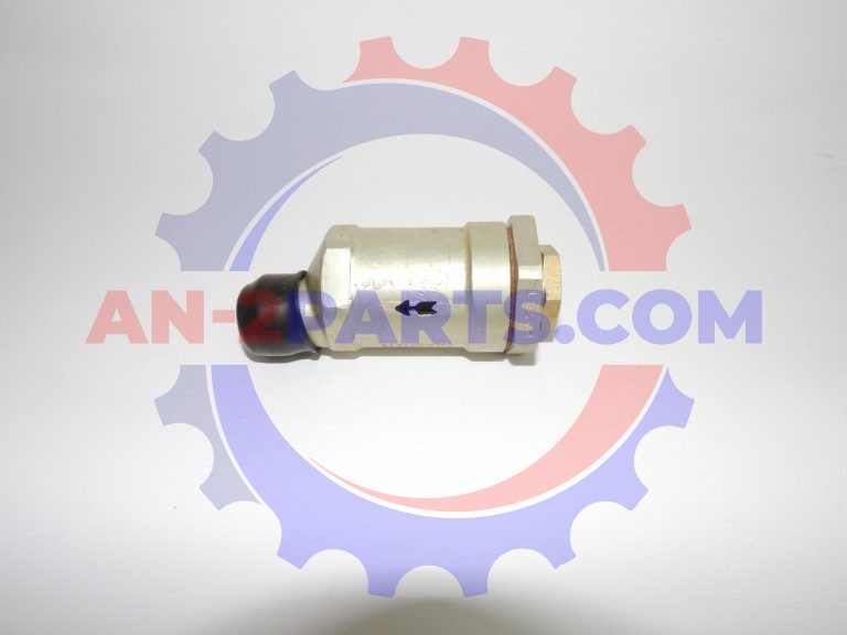 Zawór zwrotny, Non-return valve
